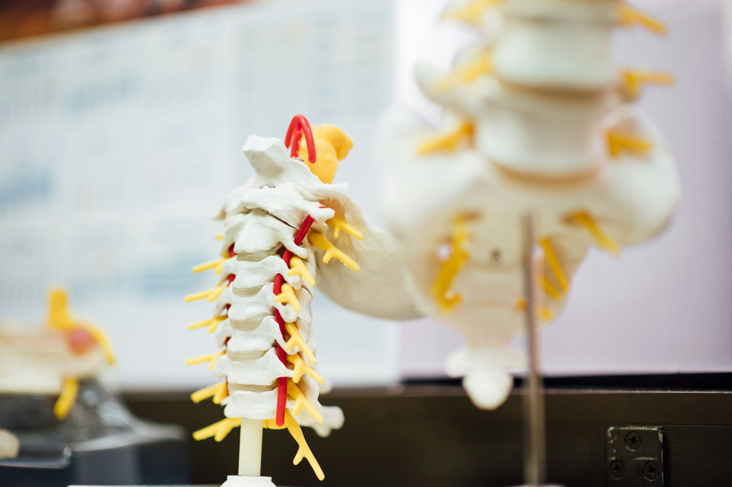 Posture Care